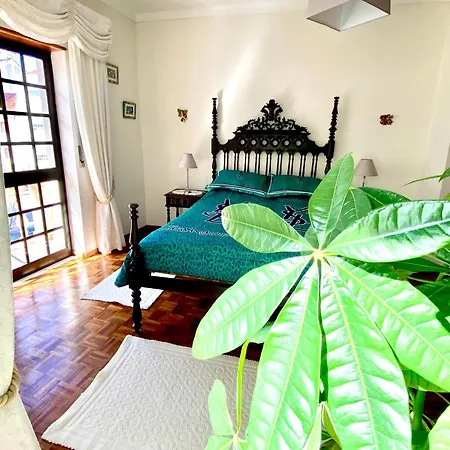 Bed and breakfast Spray Sitio In Nazare, European Style Nazaré